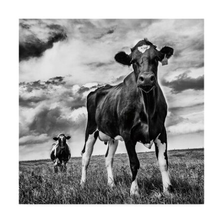 Aledanda 'Waiting Bw Crop' Canvas Art,24x24